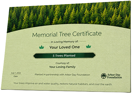 Plant Trees in Memory of Sharmeethia Lashae Mason